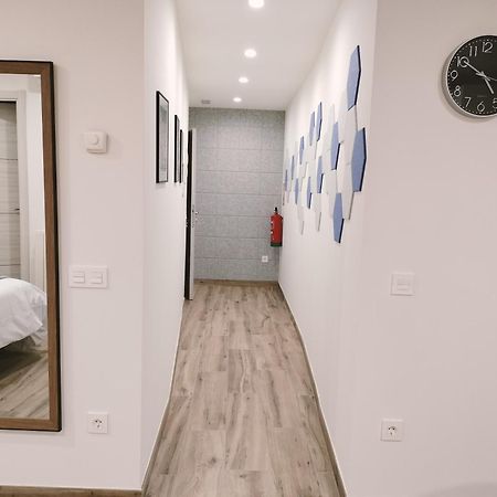 Casa Del Carmen - Parking Incluido Daire Tudela Dış mekan fotoğraf